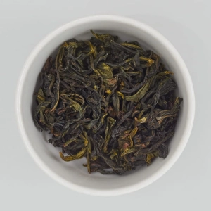 Bao Zhong TTES #28 2025